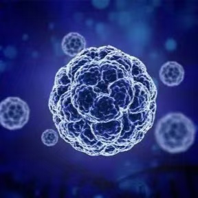 針對阿爾茲海默癥工程化外泌體